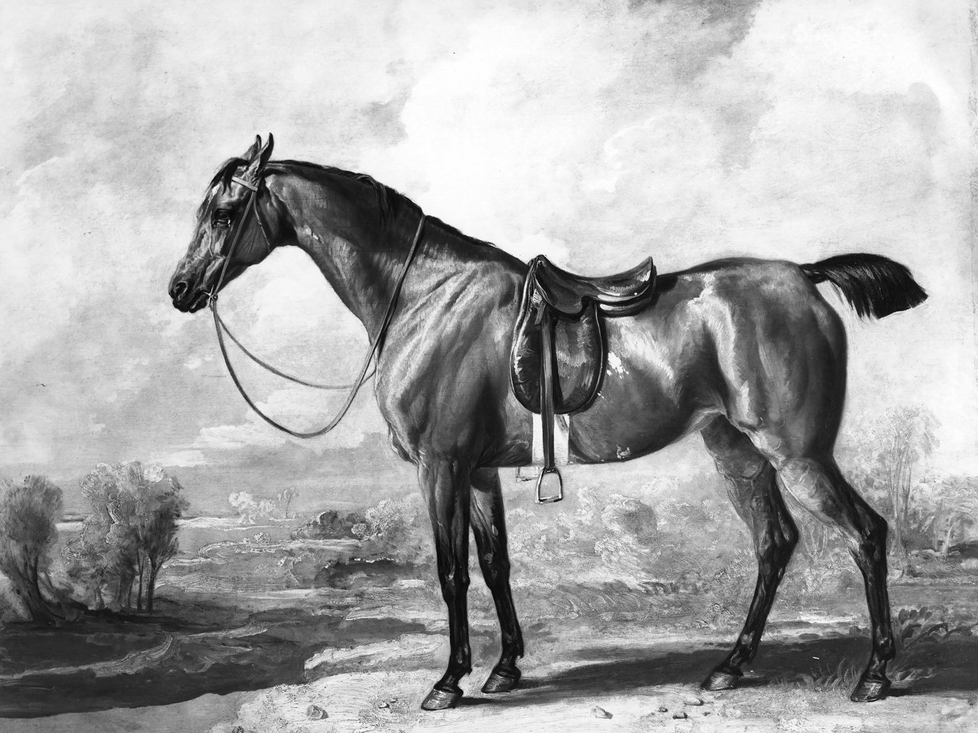 Kunstdruck Bay Hunter James Ward Pferde Zaumzeug Sattel Schwarz-Weiß Hügel Thal B, (1 St) von OTTO