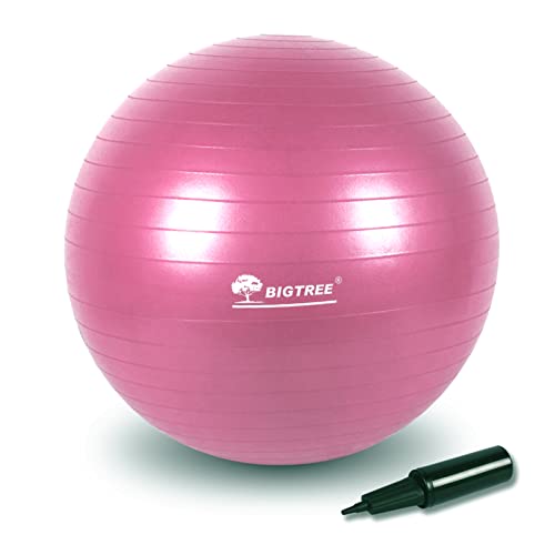 BIGTREE Gymnastikball Anti-Burst Sitzball für Yoga Exercise Fitness Yoga Core (Pink, 75) von BIGTREE