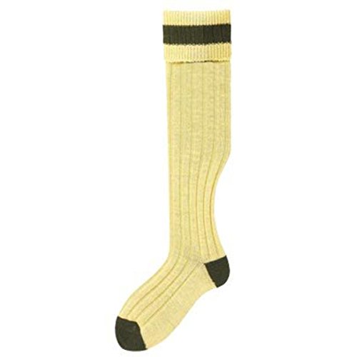 Bisley Shooting socks Mustard with Olive detail stockings - Size 8 to 10 von Bisley