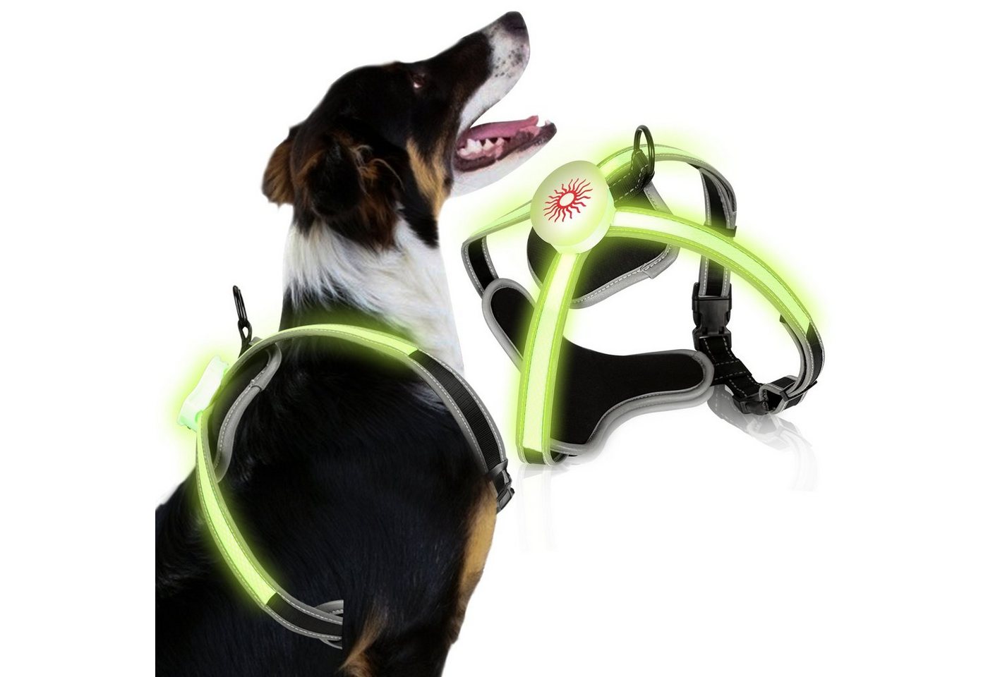 Hunde-Geschirr Hundegeschirre LED Verstellbar Welpen-Geschirr Atmungsaktiv Hunde Brustgeschirr S von Clanmacy