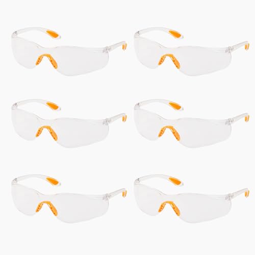 6 Stück Schutzbrille Kit, Transparent Sicherheitsbrille, Anti-Beschlag und kratzbeständigen Augenschutzbrille, Arbeitsschutzbrille für Damen, Herren, Kinder von DALAETUS