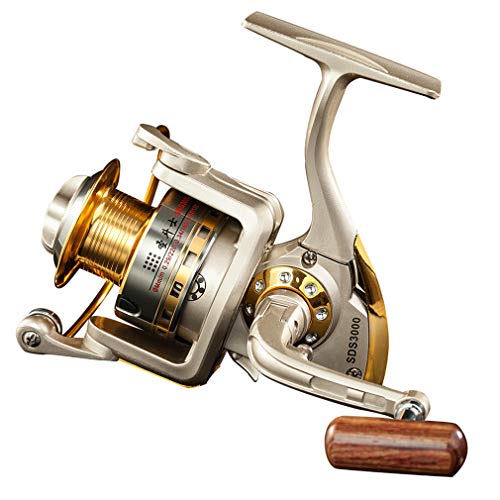 Diwa Spinning Fishing Reels for Saltwater Freshwater 1000 2000 3000 4000 5000 6000 Series Left/Right Interchangeable Trout Spinning Reel Carp Fishing Spool 10 Ball Bearings Light and Smooth (1000) von Diwa