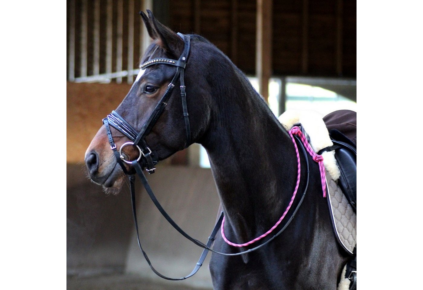 EQuest Zügel Balance Zügel Pro, pink / schwarz - 80 cm - erleichtern dem Pferd die von EQuest