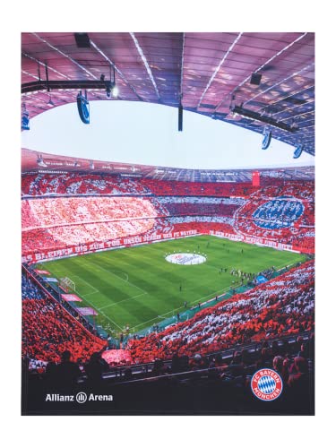 FC Bayern München Kuschelfleecedecke Arena | 170x130 cm von FC Bayern München