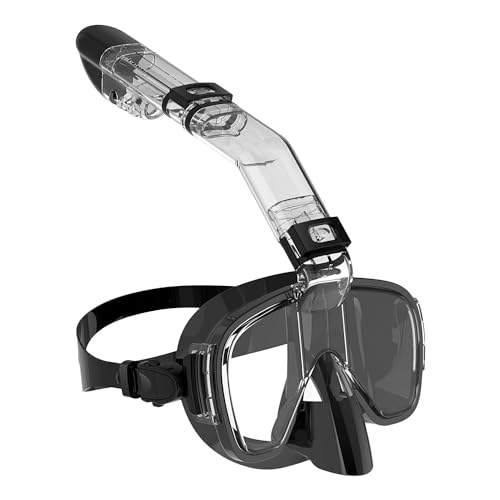 Schnorchelset für Erwachsene, Schnorchelmaske mit Dry Top System, 180-Grad-Panorama-Schnorchelmaske, professionelle Schnorchelausrüstung für Erwachsene A,S von GAOJYLF