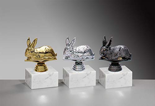 Henecka 🐇 Kaninchenzucht-Pokal, Hasen-Trophäe, Kaninchen/Hase auf Marmorsockel, mit Wunschgravur, wählbar in 3 Farben (Silber) von Henecka