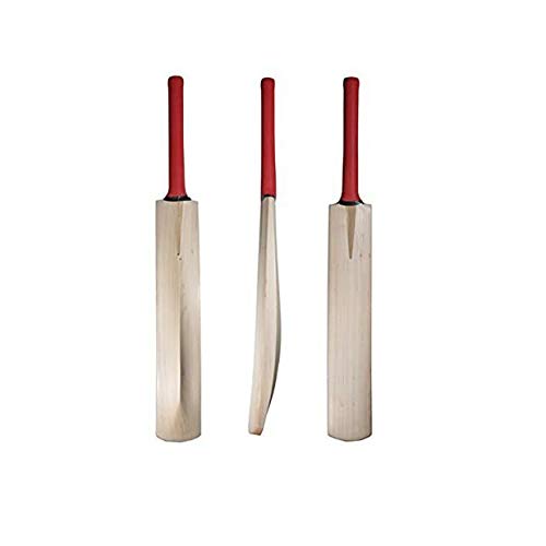 Kalindri Sports Wooden Cricket Bat Popular Willow for Tennis, Rubber Ball (2 Number, Plain) von Kalindri Sports