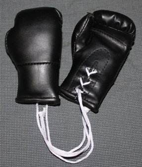 lisaro Mini Boxhandschuhe (schwarz) von lisaro