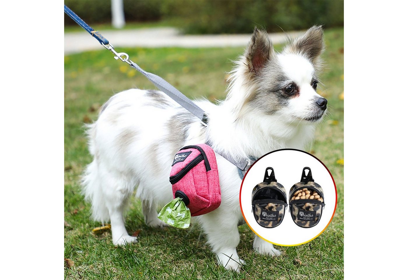 MAGICSHE Hunde-Geschirr Poop Bag Halter Multifunktions Hunde Beutel-Spender für Kotbeutel von MAGICSHE
