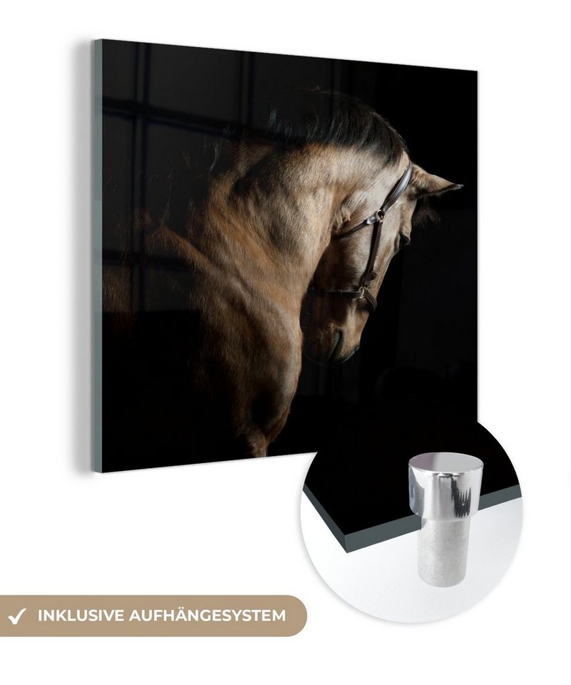 MuchoWow Acrylglasbild Pferde - Halfter - Schwarz, (1 St), Glasbilder - Bilder auf Glas Wandbild - Foto auf Glas - Wanddekoration von MuchoWow