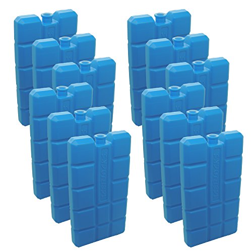 NEMT 12 Stück Kühlakkus Kühlelemente je 200ml für Kühltasche oder Kühlbox bis 12 h Kühlpack Kühlakku von NEMT