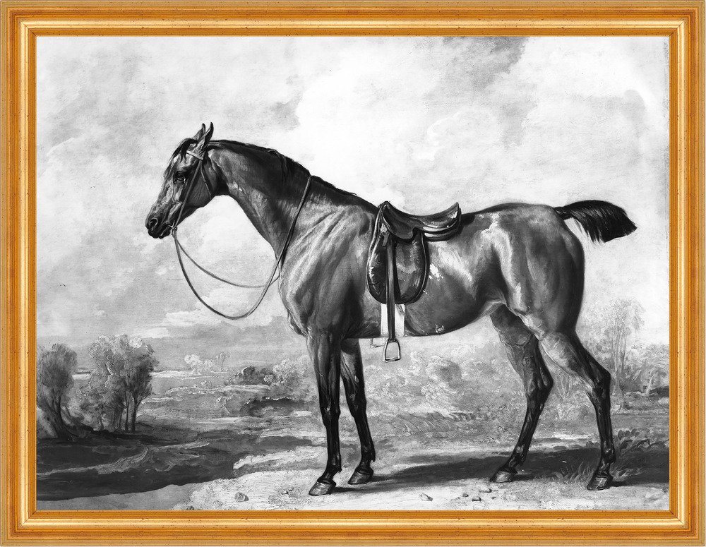 Kunstdruck Bay Hunter James Ward Pferde Zaumzeug Sattel Schwarz-Weiß Tal B A3 024, (1 St) von OTTO