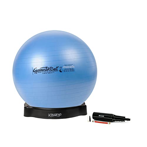 Original Pezziball MAXAFE 65 cm blau m. Ballschale & Pumpe Kombi Gymnastikball von PEZZI