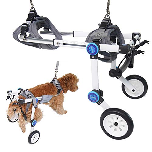 PJDDP Rollstuhl Für Hunde, 2 Räder Einstellbare Gehhilfe Hundegehilfe Rollwagen,Behinderte Hund Unterstützte Hinterbein-Sportwagen Für Haustiere Rehabilitation Für Hunde, 2–50Kg,XSA von PJDDP