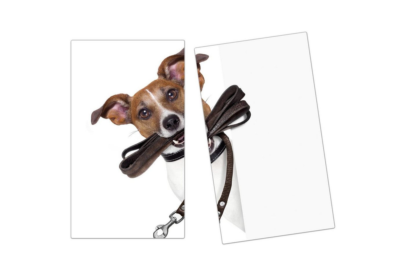 Primedeco Herd-Abdeckplatte Herdabdeckplatte Spritzschutz aus Glas Hund mit Sonnenbrille, Glas, (2 tlg) von Primedeco