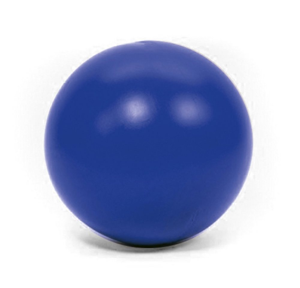 Procyon Tierball PROCYON Treibball Farbe: Blau von Procyon