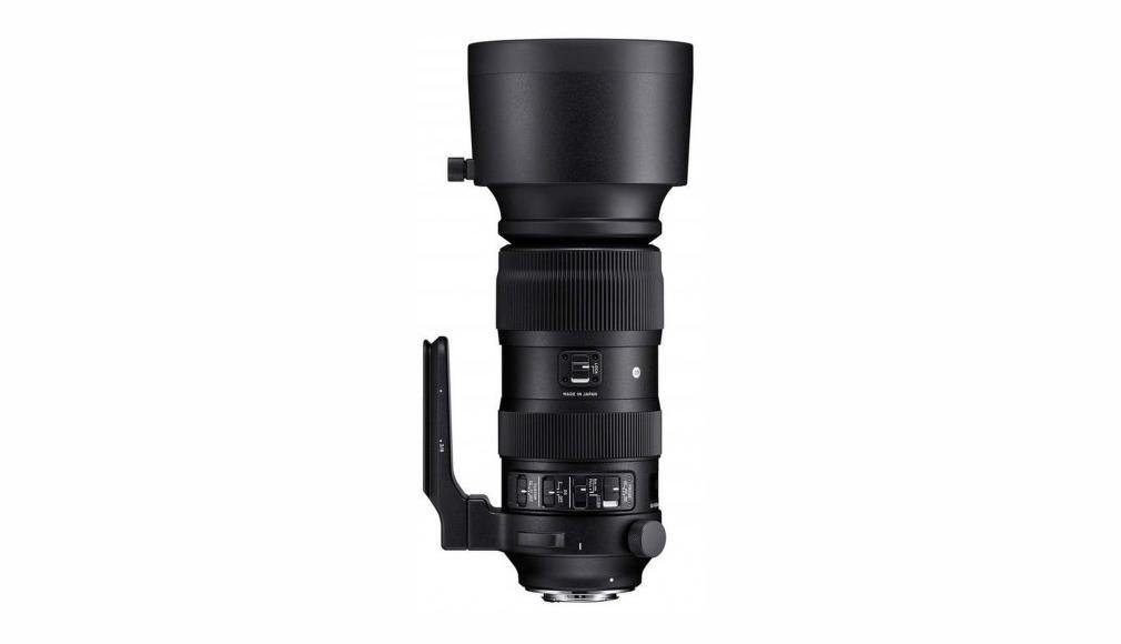 SIGMA 60-600mm f4,5-6,3 DG OS HSM (S) Canon Objektiv von SIGMA