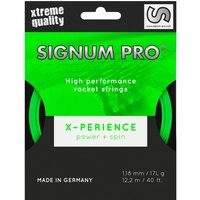 Signum Pro Xperience Saitenset 12m von Signum Pro