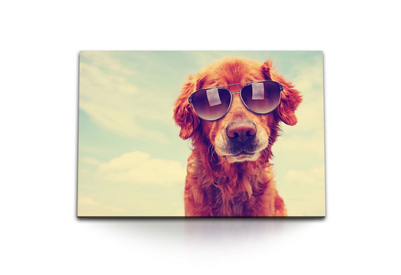 Sinus Art Leinwandbild 120x80cm Wandbild auf Leinwand Hund mit Sonnenbrille Tierfotografie So, (1 St) von Sinus Art