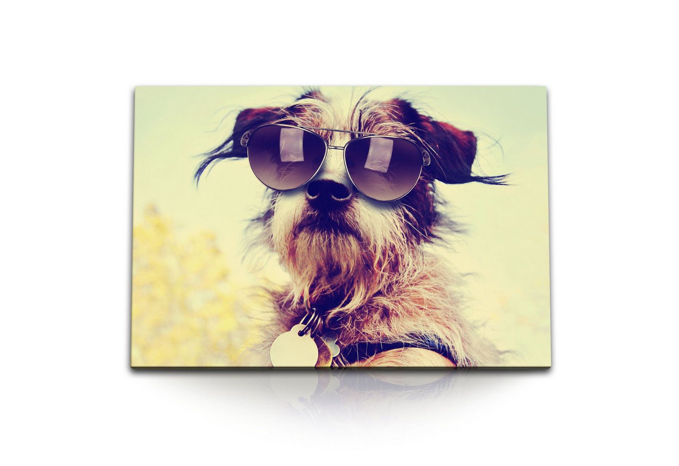 Sinus Art Leinwandbild 120x80cm Wandbild auf Leinwand Kleiner Hund mit Sonnenbrille Sonnensch, (1 St) von Sinus Art
