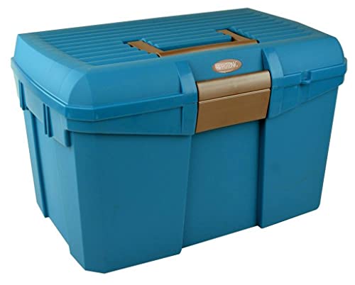 Norton Schachtel für Wurzelkardätsche , Turquoise & Gris, Taille L 40 x l 27,5 x h 24,5 cm von Symantec