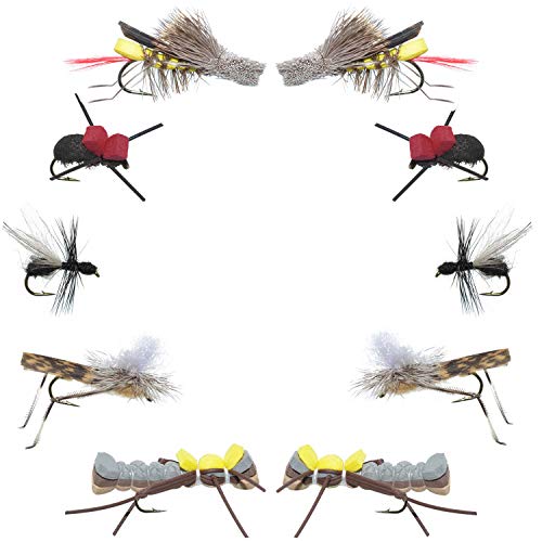 The Fly Fishing Place Basics Collection – Terrestrials Trockenfliegen-Sortiment – 10 Trockenfliegen – Hopper, Ameisen und Käfer Angelfliegenmuster – Hakengrößen 10, 12 und 14 von The Fly Fishing Place