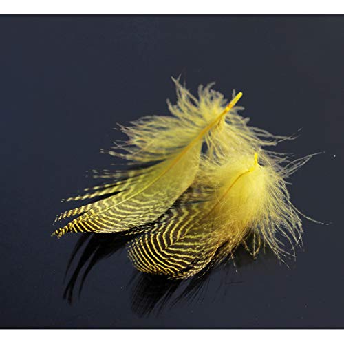 Tigofly 40 Stück/Charge 4 Farben Natürliche Gestänge Stockente Ente Flankenfedern Wilde Gänsehaar Flügel Fliegenbinden Material (gelb) von Tigofly
