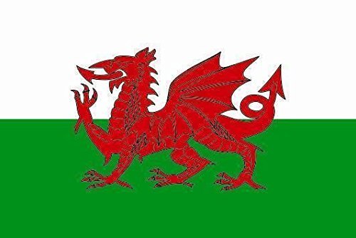 U24 Fahne Flagge Wales Bootsflagge Premiumqualität 30 x 45 cm von U24