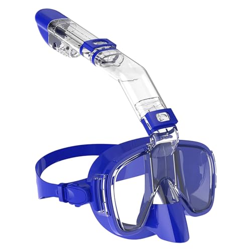 Schwimmbrille Erwachsene, Panorama-Weitblick Tauchmaske, Professionelle Schnorchelausrüstung für Erwachsene Kinder -Blue-1||S von VIXANI