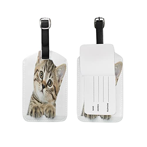 Süße Katze Weiß Kofferanhänger mit Adressschild Lustig Leder Gepäckanhänger ID Etikett mit Namenschild für Reise Koffer Tasche(3PACK) von Vnurnrn
