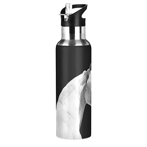 Vnurnrn Pferd Weiß Schwarz Tier Wasserflasche Edelstahl Trinkflasche Auslaufsichere Flasche mit Stroh für Jungen Mädchen von Vnurnrn