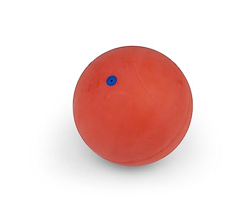 WV Gymnastikball Klein - 16 cm - Gummiball Klein - Rehabilitation - Kleiner Gymnastikball - Ball - Rot von WV