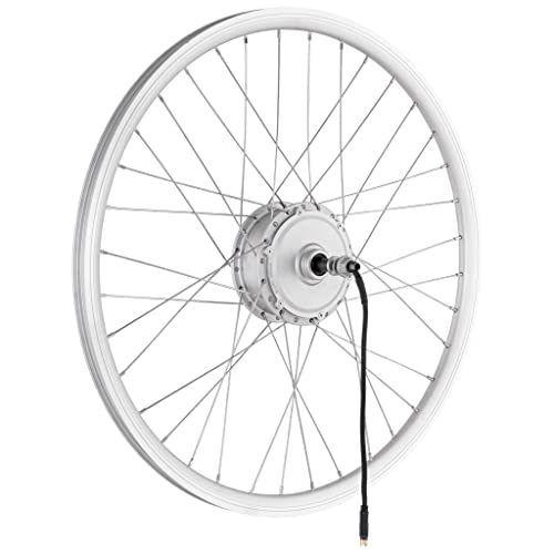 windmeile | E-Bike Nabenmotor Hinderrad, eingespeicht, Silber, 20', 36V/250W, E-Bike, Elektro Fahrrad, Pedelec von windmeile