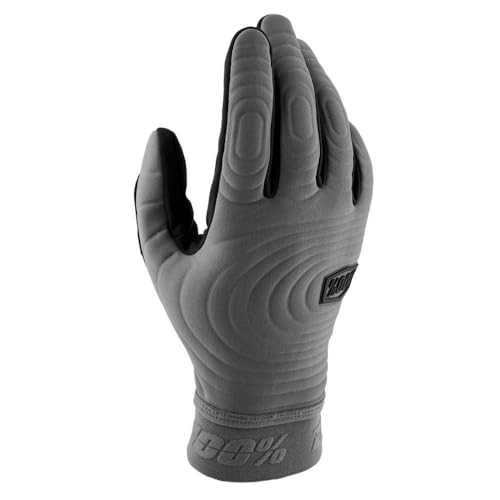 100% BRISKER Xtreme Handschuhe, Anthrazit, Größe 2XL 100% BRISKER Xtreme Handschuhe, Anthrazit, Größe 2XL von 100%