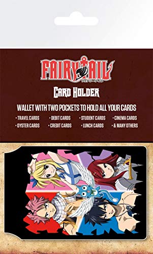 Fairy Tail Quad EC-Kartenhülle Kartenetui Für Fans Und Sammler 10x7 cm von 1art1