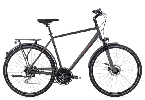 2R Manufaktur TLX24 Herrenrad 28 Zoll 24 Gang Trekkingrad mit hydraulischer Scheibenbremse, Farbe:Grey matt, Rahmengröße:48 cm, Laufradgröße:28 Zoll von 2R Manufaktur