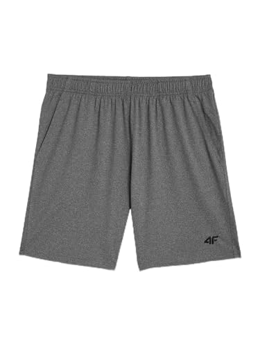 4F Shorts FNK M383 für Männer | Graue Farbe | L von 4F