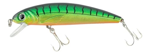 Abu Garcia Tormentor Schwimmköder - Erhältlich in verschiedenen Größen, ideal für Forellen, Barsche, Hechte, Zander, Barsche und Lachse, verführerische Aktion mit leuchtenden Farben, Holo Tiger 9 cm Abu Garcia Tormentor Schwimmköder - Erhältlich in verschiedenen Größen, ideal für Forellen, Barsche, Hechte, Zander, Barsche und Lachse, verführerische Aktion mit leuchtenden Farben, Holo Tiger 9 cm von Abu Garcia