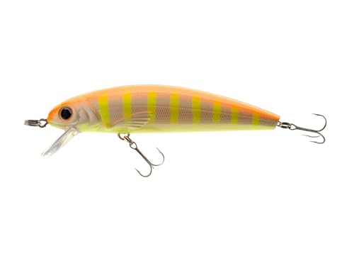 Abu Garcia Tormentor Schwimmköder - Erhältlich in Mehreren Größen, ideal für Forellen, Barsche, Hechte, Zander, Barsche und Lachse, verführerische Aktion mit leuchtenden Farben, orange/gelb 9 cm Abu Garcia Tormentor Schwimmköder - Erhältlich in Mehreren Größen, ideal für Forellen, Barsche, Hechte, Zander, Barsche und Lachse, verführerische Aktion mit leuchtenden Farben, orange/gelb 9 cm von Abu Garcia