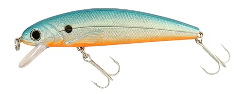 Abu Garcia Tormentor Schwimmköder - Erhältlich in verschiedenen Größen, ideal für Forellen, Barsche, Hechte, Zander, Barsche und Lachse, verführerische Aktion, Holo Silber/Blau 7 cm Abu Garcia Tormentor Schwimmköder - Erhältlich in verschiedenen Größen, ideal für Forellen, Barsche, Hechte, Zander, Barsche und Lachse, verführerische Aktion, Holo Silber/Blau 7 cm von Abu Garcia