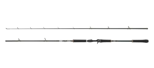 Abu Garcia Beast X Casting Rod, Süßwasserangler Angeln Hecht & Zander, Starkes Leichtgewicht & Vielseitig, Grün, 2.59m Moderat Schnelle Beidhändige Rute Abu Garcia Beast X Casting Rod, Süßwasserangler Angeln Hecht & Zander, Starkes Leichtgewicht & Vielseitig, Grün, 2.59m Moderat Schnelle Beidhändige Rute von Abu Garcia