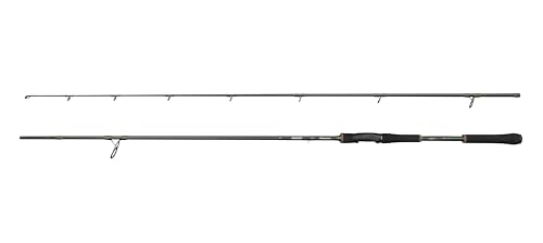 Abu Garcia Beast X Spinnrute, Süßwasserangeln Hecht & Zander, Starkes Leichtgewicht & vielseitig einsetzbar, grün, 2.51m schnelle beidhändige Rute Abu Garcia Beast X Spinnrute, Süßwasserangeln Hecht & Zander, Starkes Leichtgewicht & vielseitig einsetzbar, grün, 2.51m schnelle beidhändige Rute von Abu Garcia