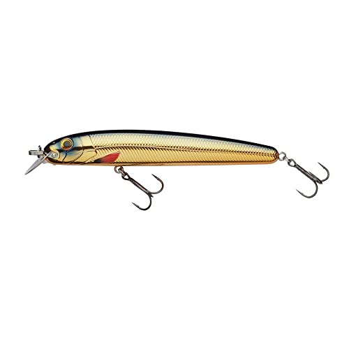 Beast Hi-Lo Sinking Beast Hi-Lo Sinking von Abu Garcia