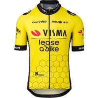 Visma Lease a Bike 2024 Kurzarmtrikot, für Herren, Größe L, Rennrad Trikot, von AGU