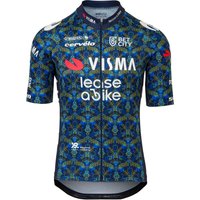 Visma Lease a Bike TDF 2024 Kurzarmtrikot, für Herren, Größe 3XL, Radlertrikot, Visma Lease a Bike TDF 2024 Kurzarmtrikot, für Herren, Größe 3XL, Radlertrikot, von AGU