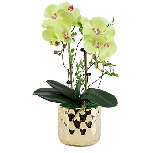 Künstliches Blumenset, künstliche Orchideenblüten zur Dekoration, gefälschter Phalaenopsis-Blumenstrauß mit Vase für Heimdekoration, Tischdekoration, schöne künstliche Blumen und Vasen (Farbe: Rot) von AITEKODVG