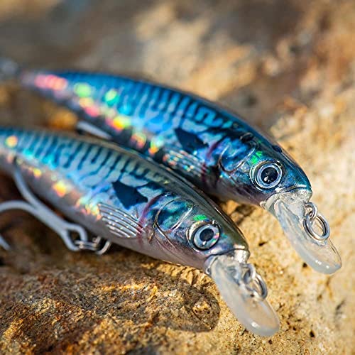AKAMI Real Minnow 10 cm 14 g Farbe Kegel Llisa. zum Schleppen und Spinning AKAMI Real Minnow 10 cm 14 g Farbe Kegel Llisa. zum Schleppen und Spinning von AKAMI