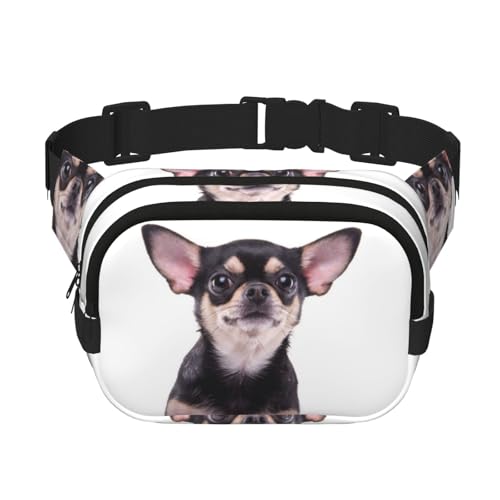 Niedliche Chihuahua quadratische doppellagige Hüfttasche Brusttasche Crossbody Tasche Laufen Reisen Wandern Hüfttasche, Schwarz , Einheitsgröße von ALLiYa