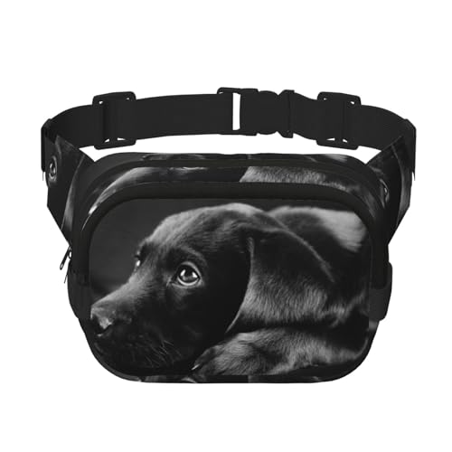 Welpen-Hunde-Hüfttasche, quadratisch, doppellagig, Brusttasche, Crossbody-Tasche, Laufen, Reisen, Wandern, Schwarz , Einheitsgröße von ALLiYa