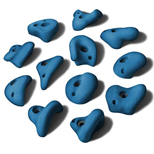 ALPIDEX 12 Klettergriffe L | Klettersteine | Größe L | Verschiedene Hinterschneidungen, Ausformungen, Farben | Henkelklettergriffe - Farbe:Balance Blue ALPIDEX 12 Klettergriffe L | Klettersteine | Größe L | Verschiedene Hinterschneidungen, Ausformungen, Farben | Henkelklettergriffe - Farbe:Balance Blue von ALPIDEX
